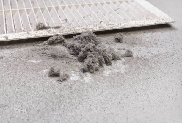 Best HVAC Air Duct Cleaning  in Machesney Park, IL