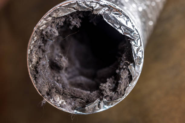 Best Dryer Vent Cleaning Services  in Machesney Park, IL
