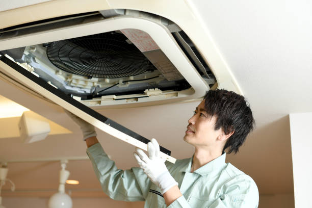 Best Air Duct Sanitizing Services  in Machesney Park, IL